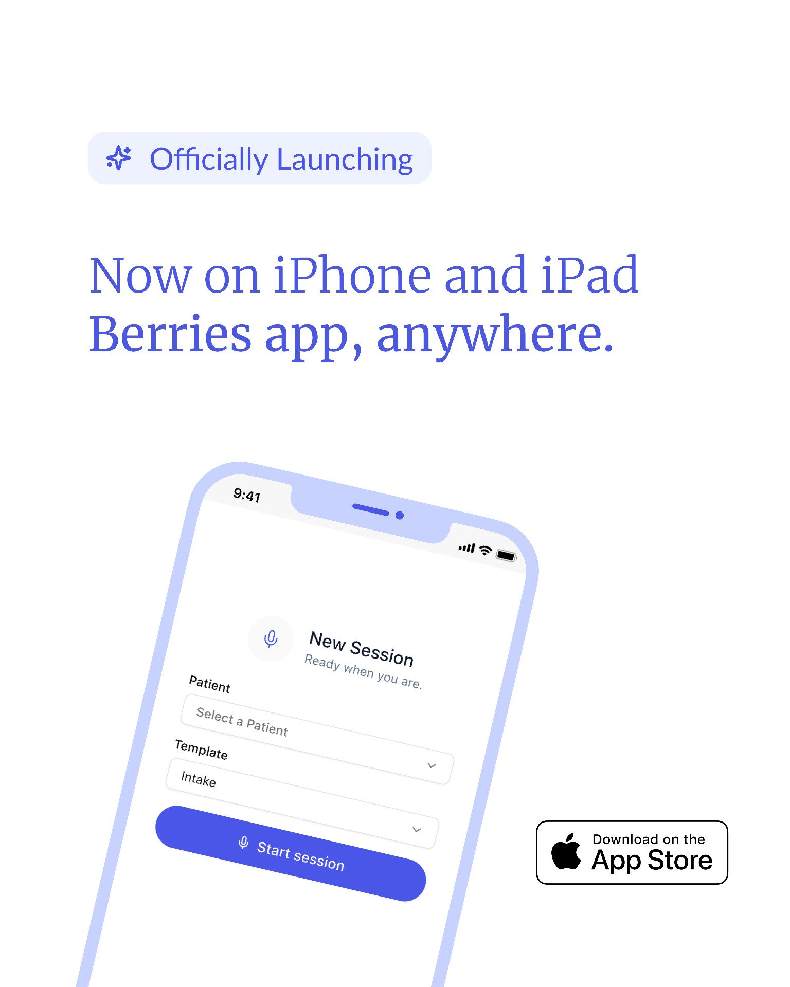 iOS / iPad launch
